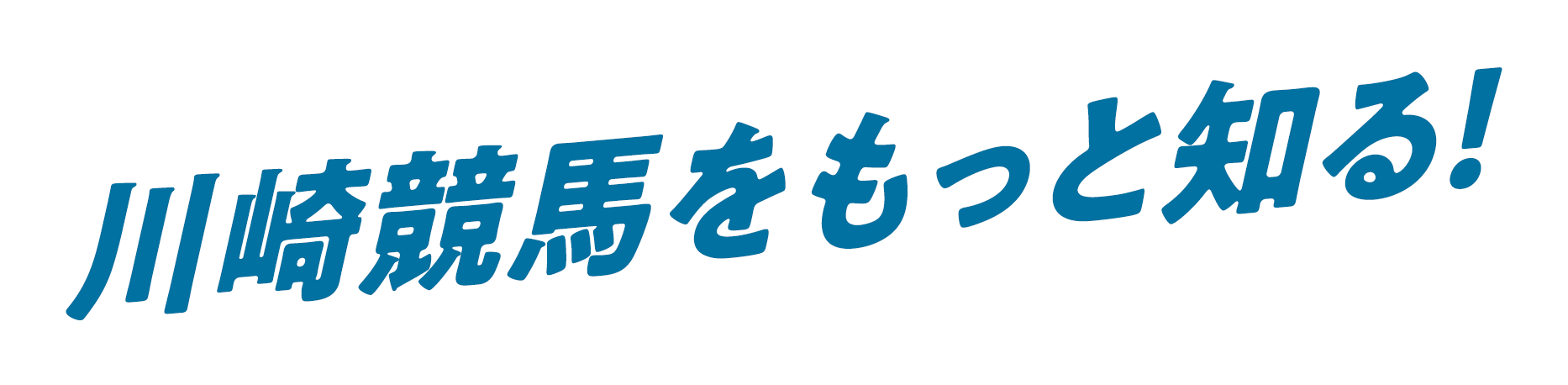 過去3年のデータが集結!川崎競馬データ分析!