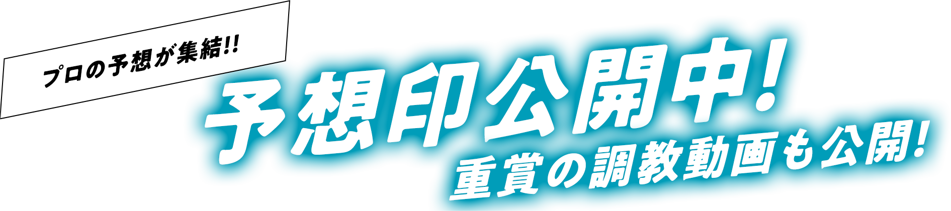 プロの予想が集結！！予想印公開中！