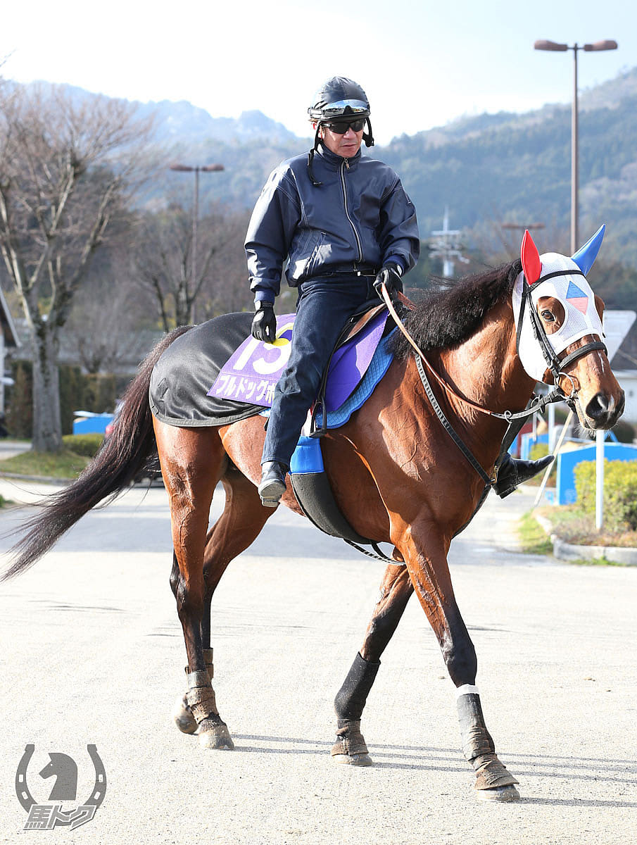 ブルドッグボスの馬体写真