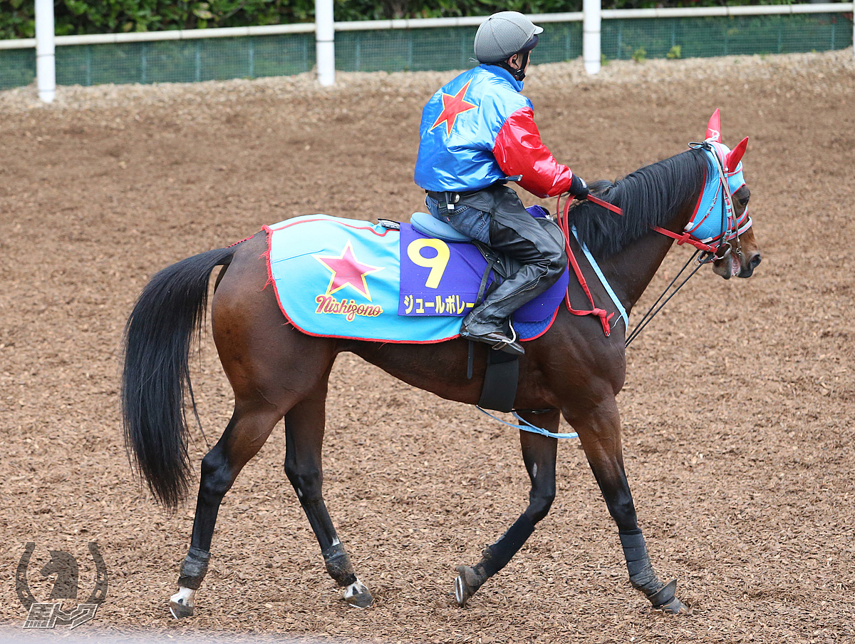 ジュールポレールの馬体写真