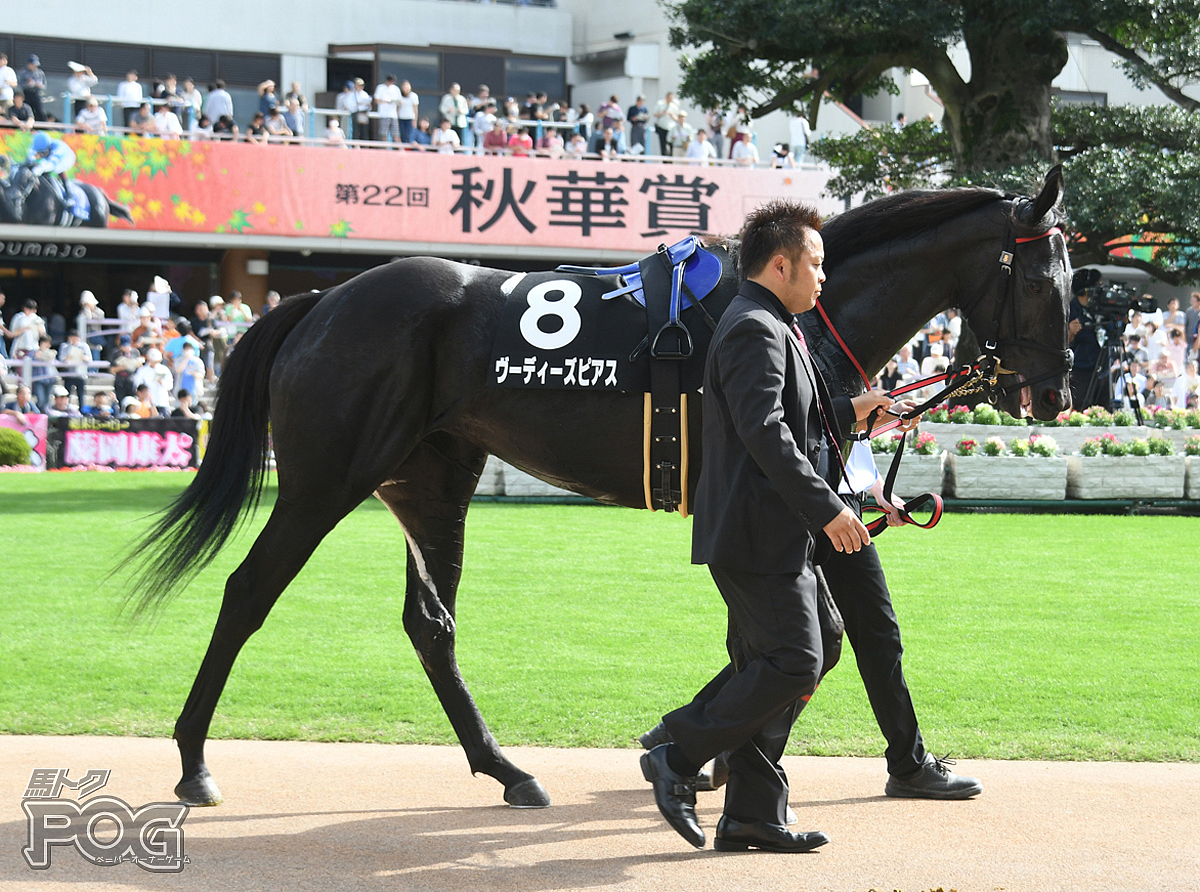 ヴーディーズピアスの馬体写真