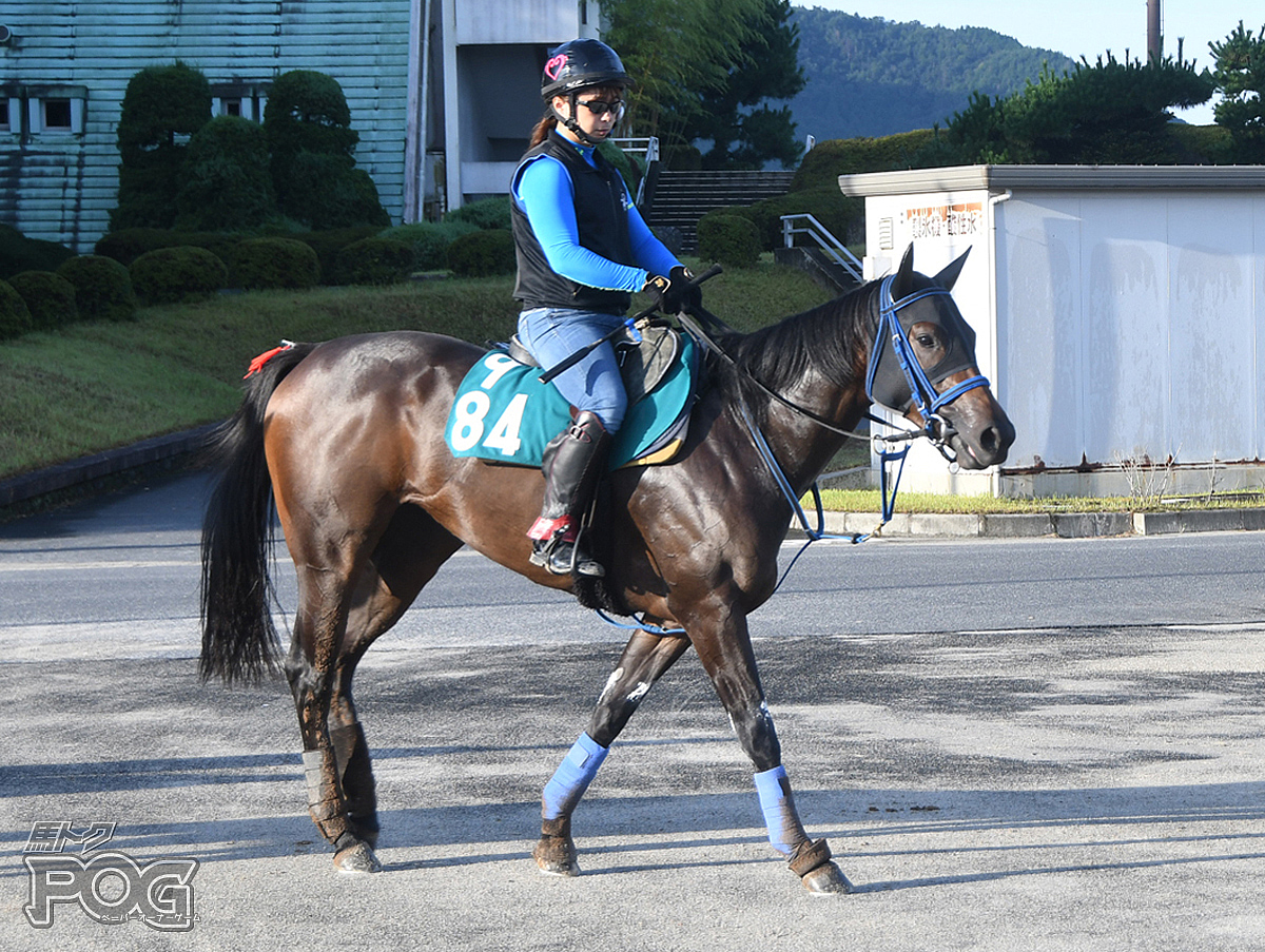 メイグッドミーの馬体写真