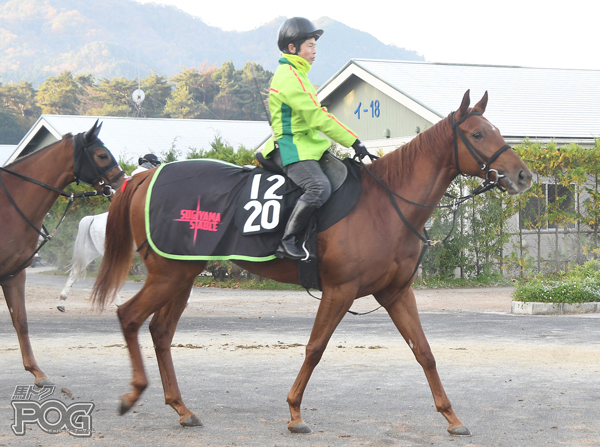 ルールブレイカーの馬体写真