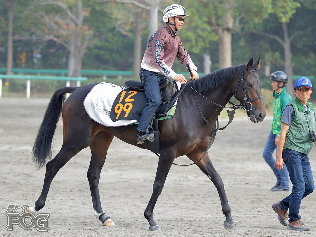 ライレローズの馬体写真