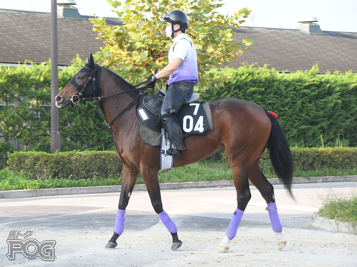 トゥンバドーラの馬体写真