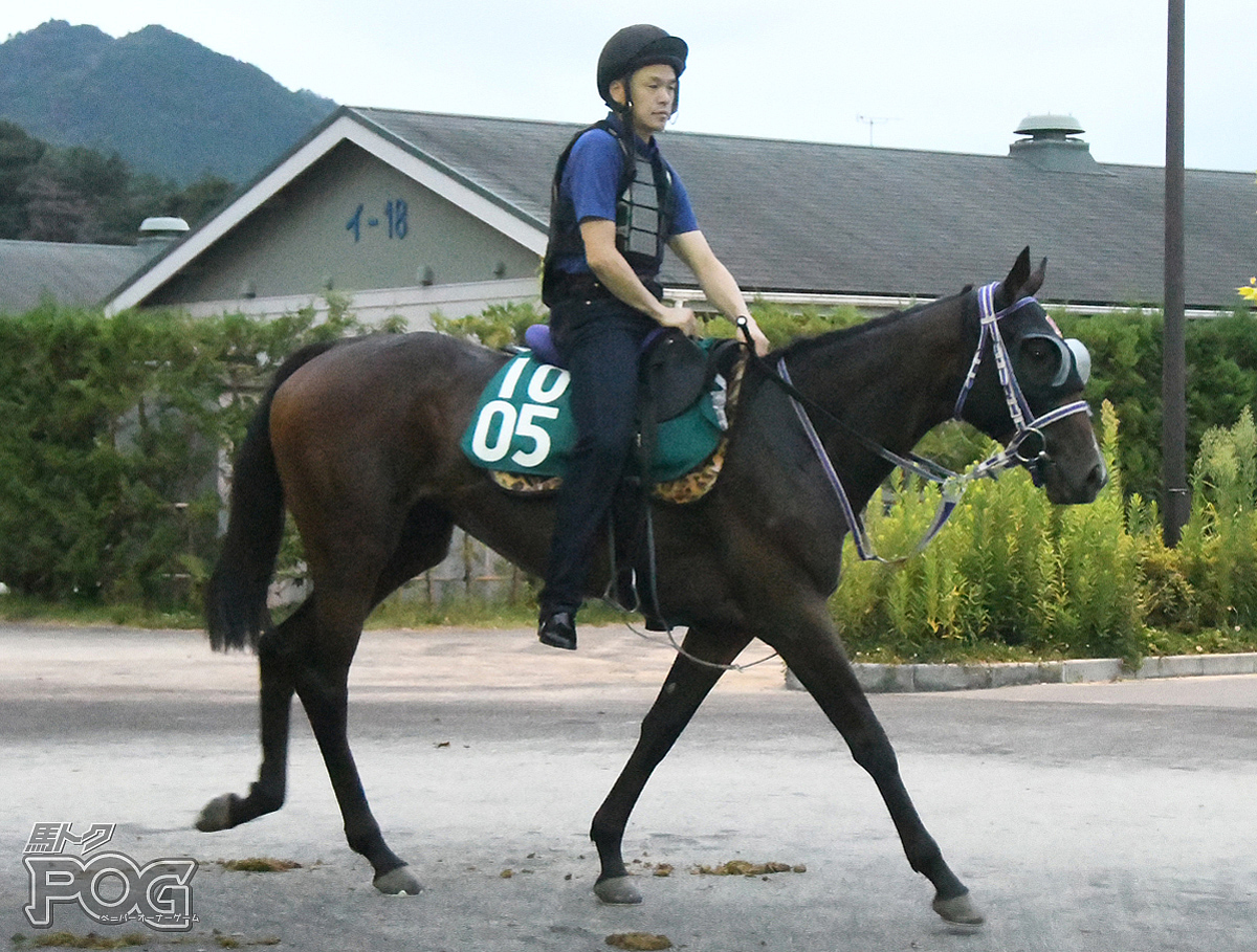 タイセイプリマの馬体写真