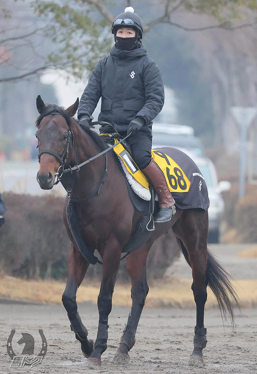 スパーダの馬体写真