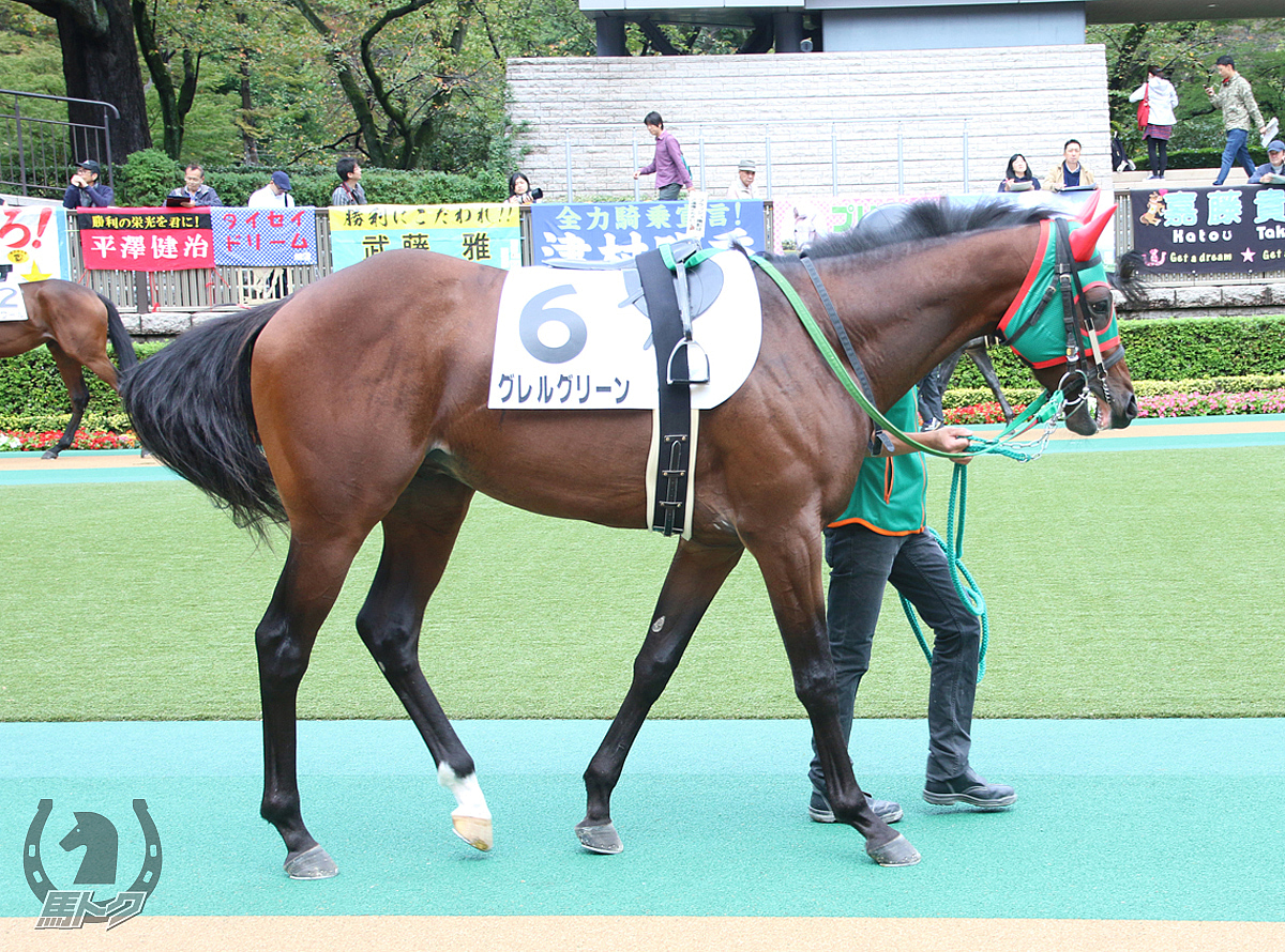 グレルグリーンの馬体写真