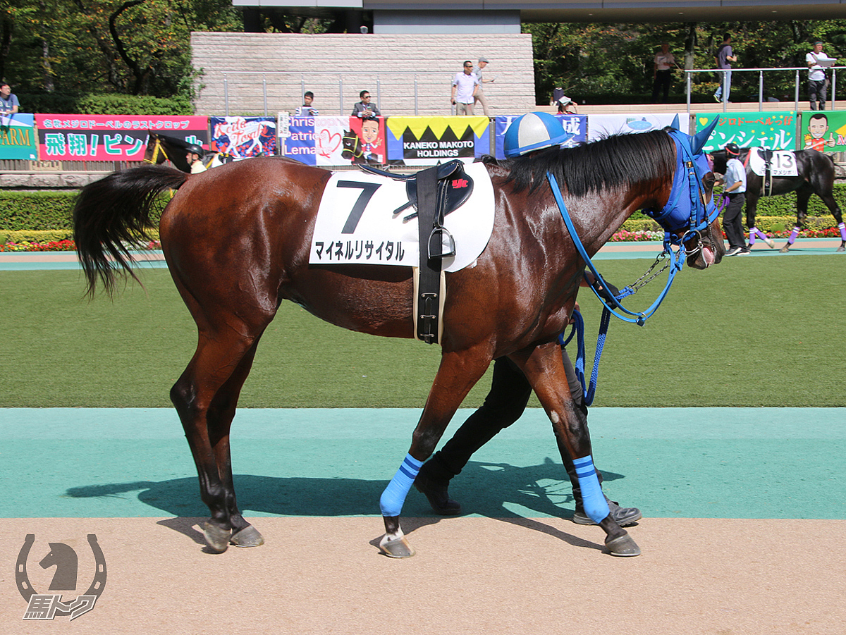 マイネルリサイタルの馬体写真