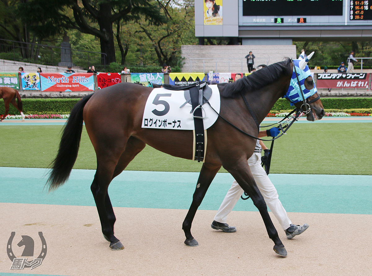 ログインボーナスの馬体写真