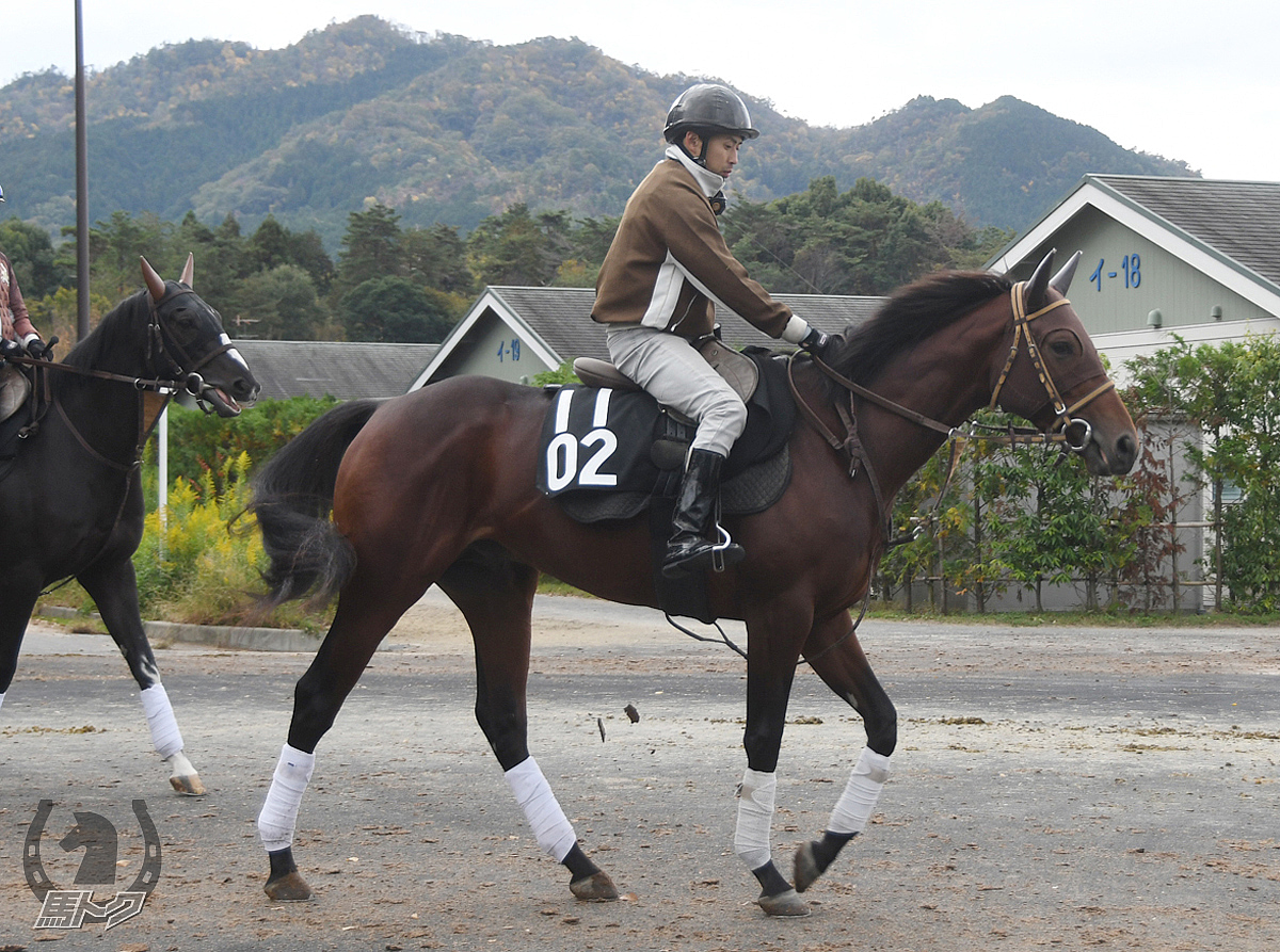 ラッキーバローズの馬体写真