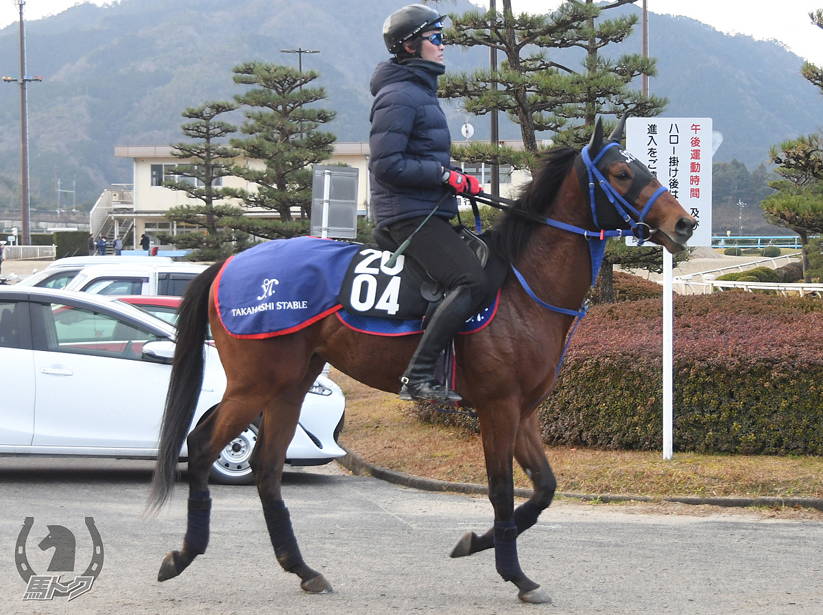 ブレイブバイオの馬体写真