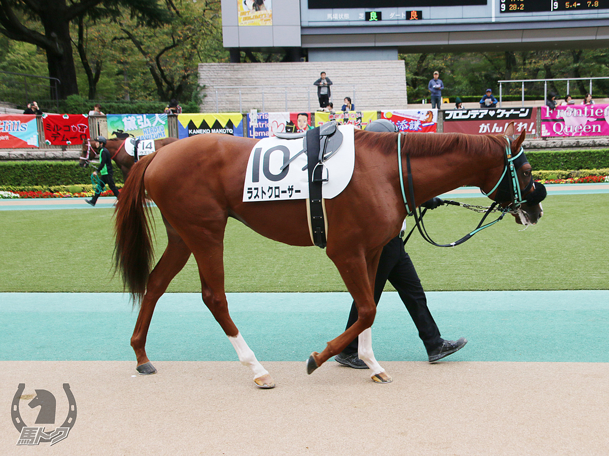 ラストクローザーの馬体写真