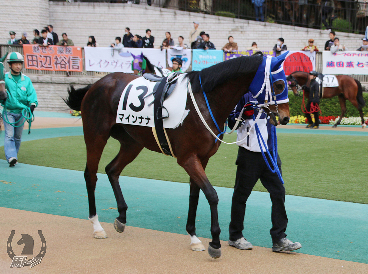 マインナナの馬体写真