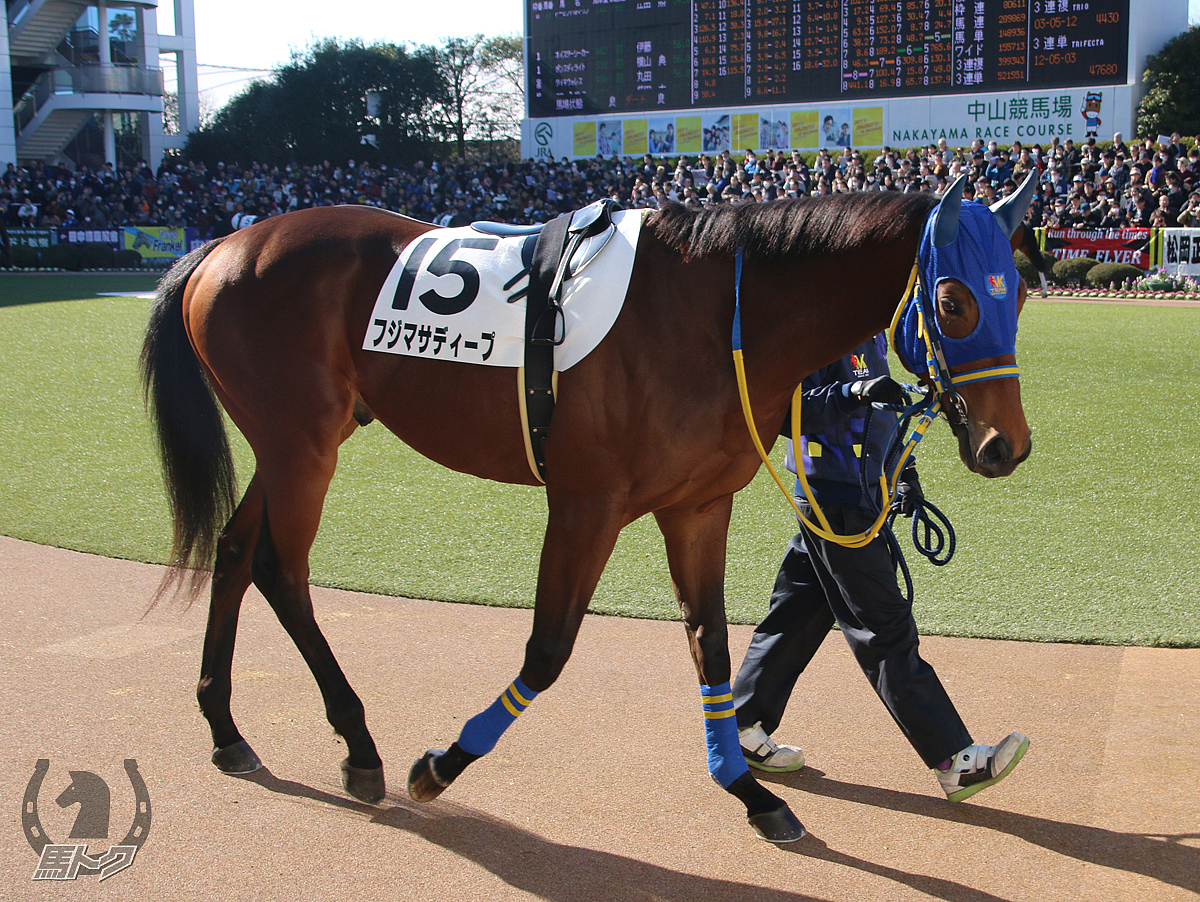 フジマサディープの馬体写真