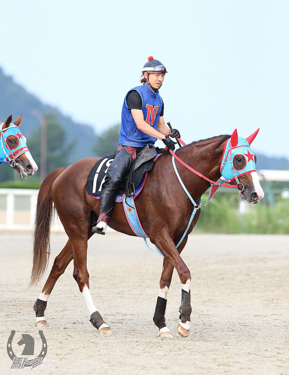 タイソウの馬体写真