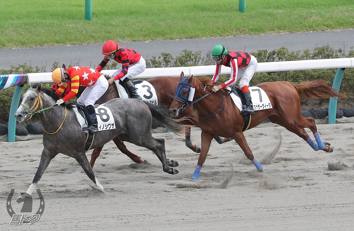 ユイノシワザの馬体写真