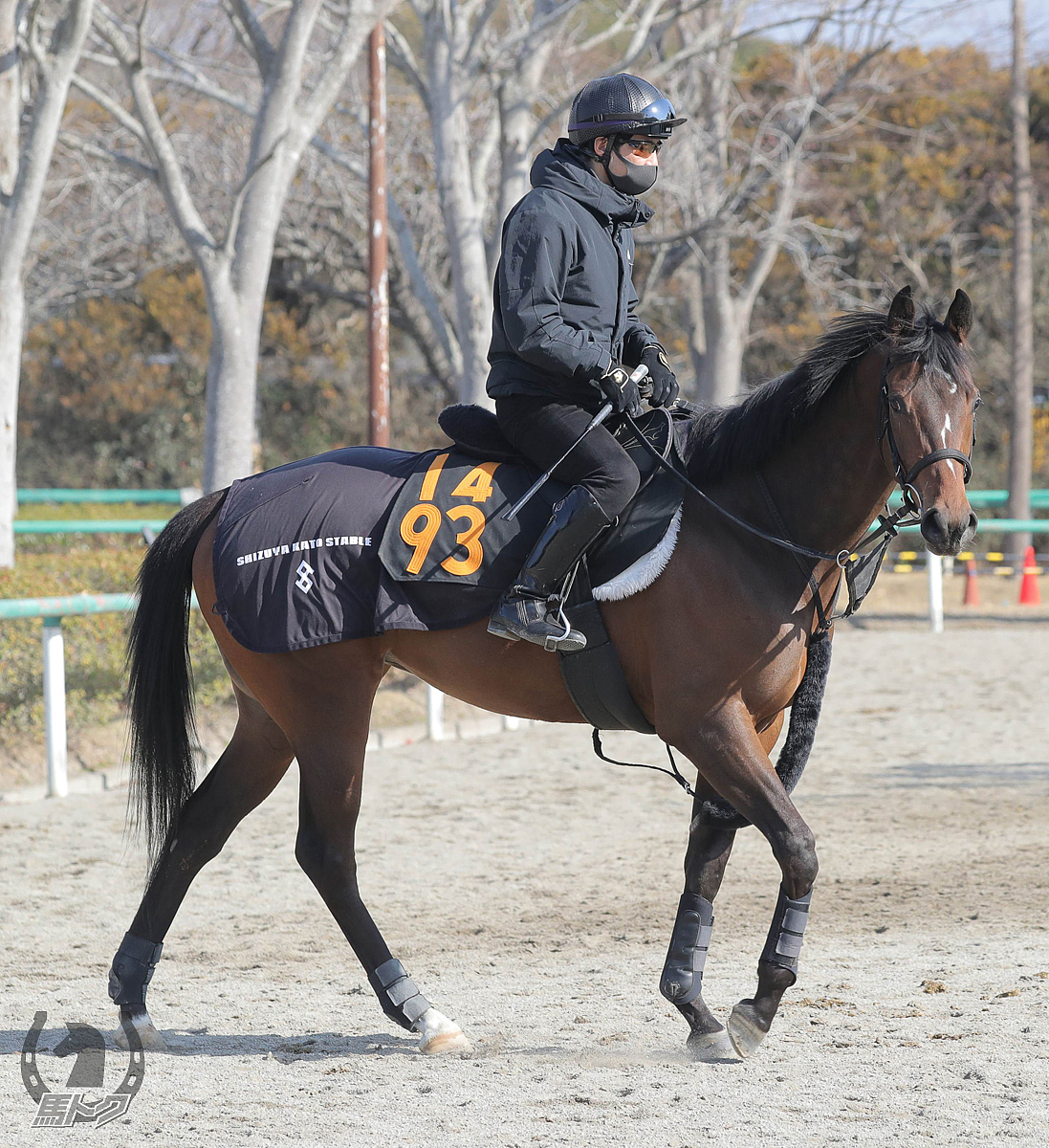 リュクスフレンドの馬体写真