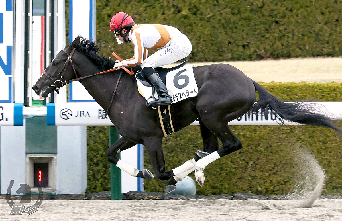 エルデスペラードの馬体写真