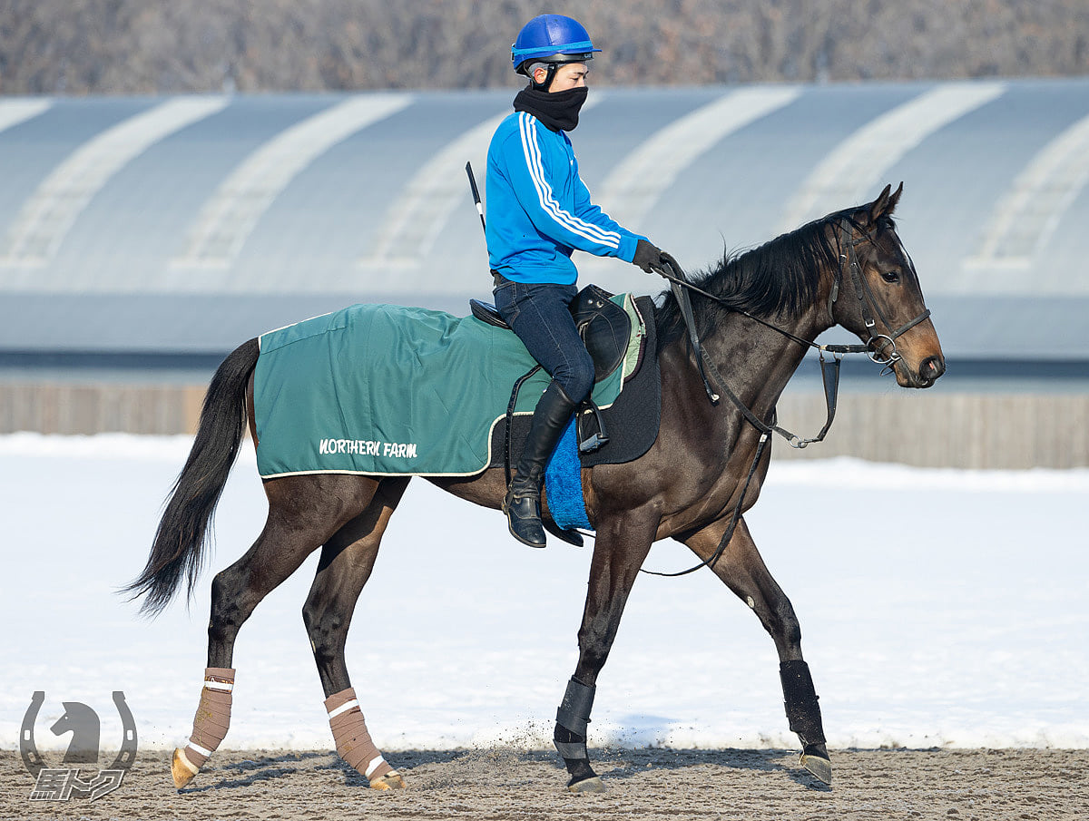 オリーヴベリーの馬体写真