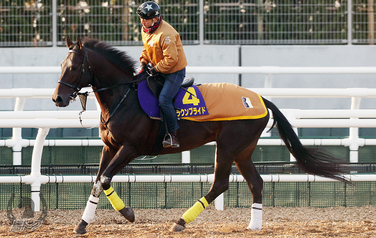 クラウンプライドの馬体写真