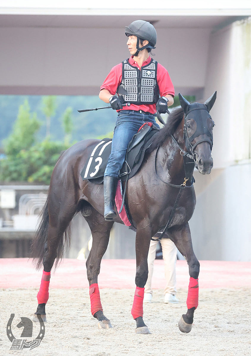 マイシンフォニーの馬体写真