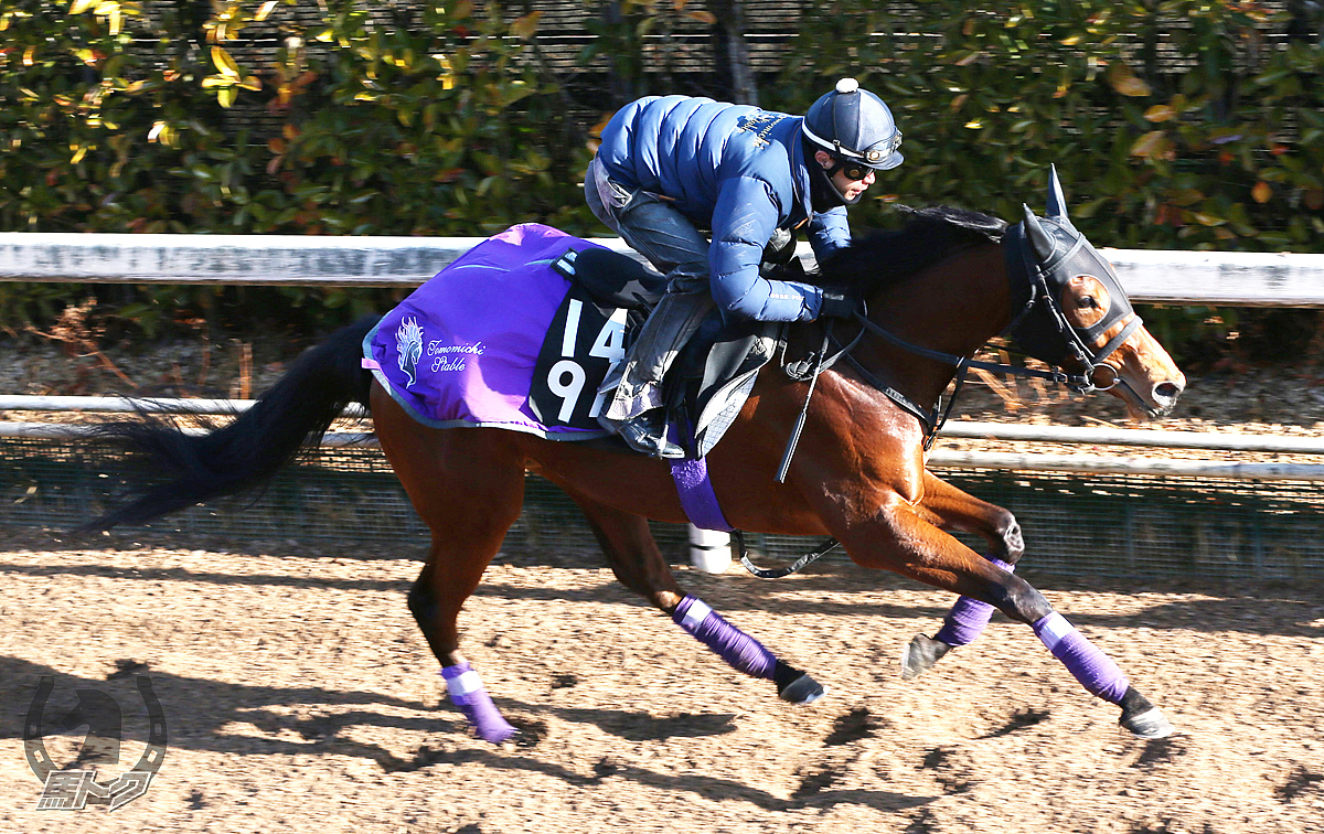 ショショローザの馬体写真