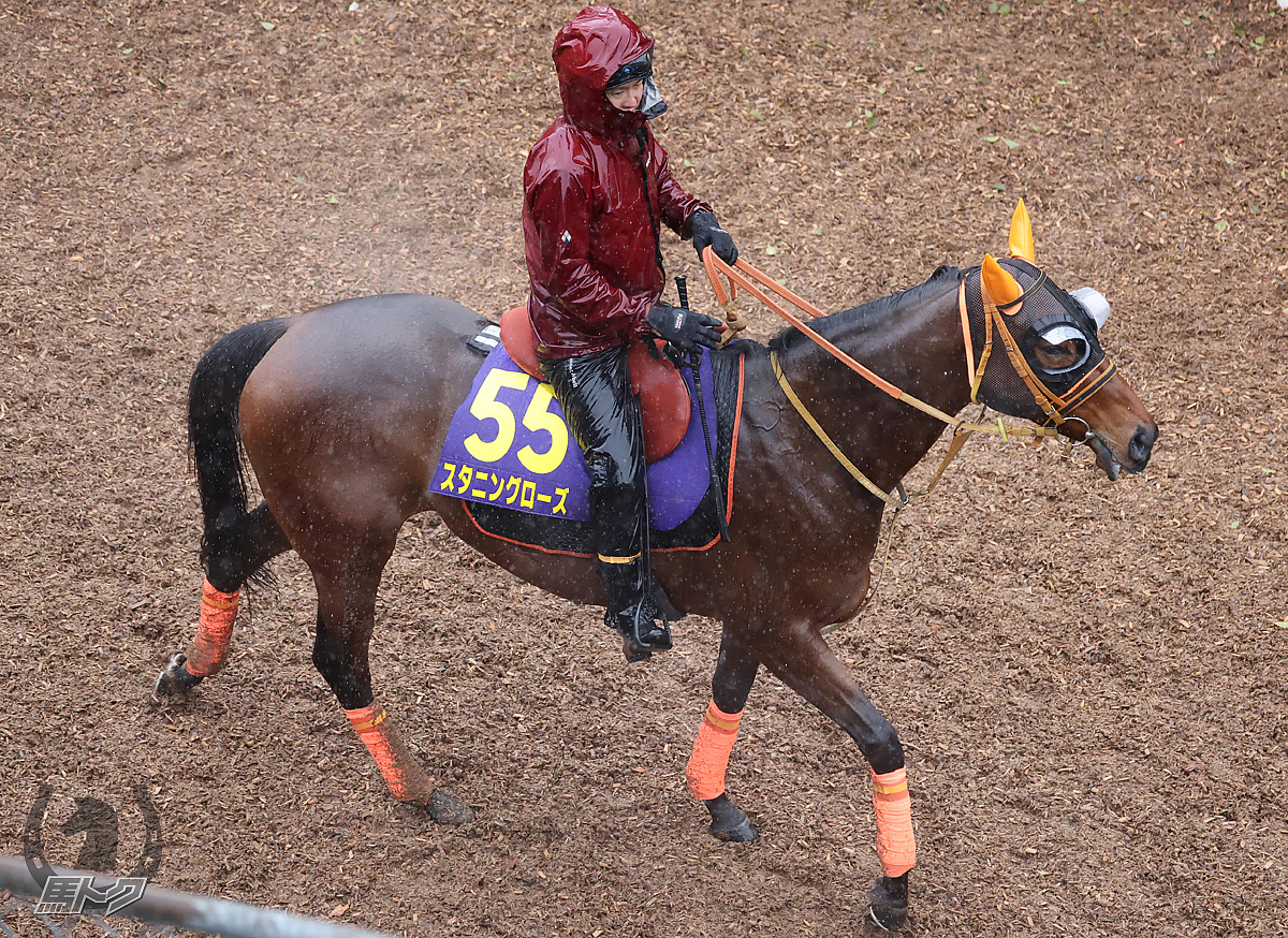 スタニングローズの馬体写真