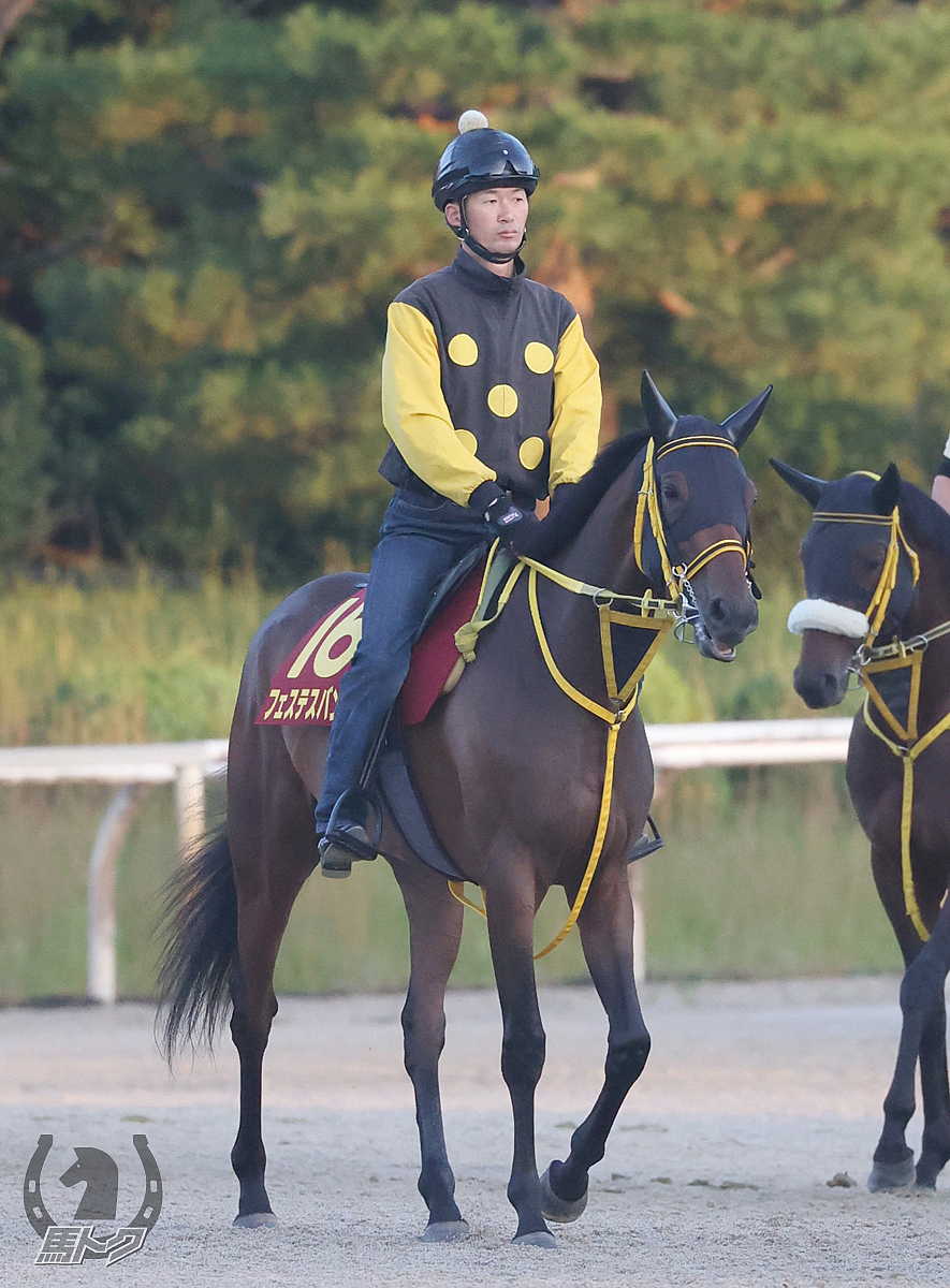 フェステスバントの馬体写真