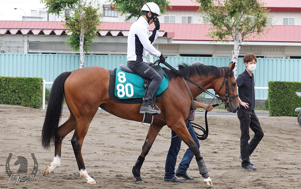 ランフリーバンクスの馬体写真