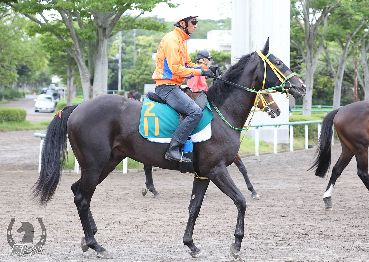 グッドルックスの馬体写真