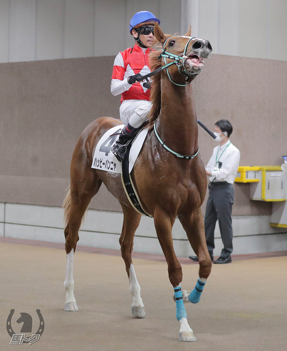 ハッピーパンニャの馬体写真