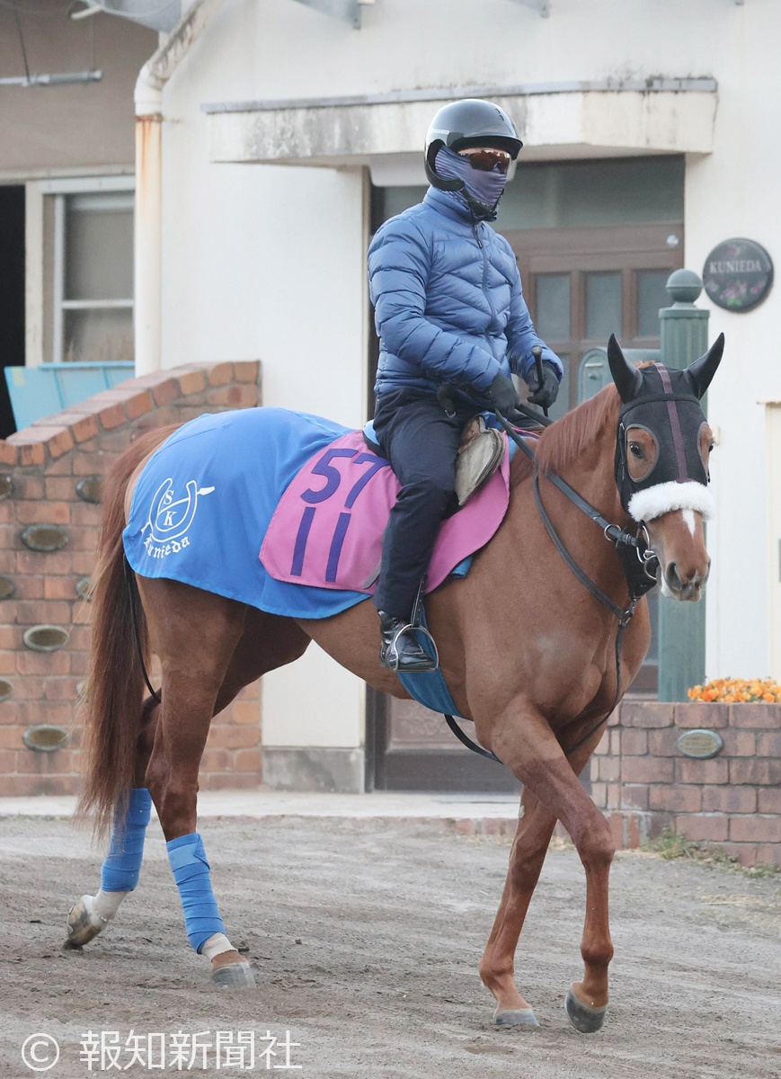 ルージュナリッシュの馬体写真