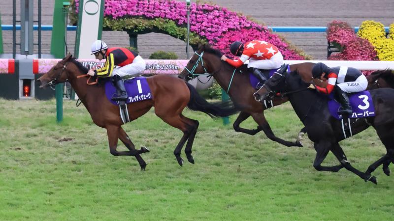 UMATOKU | 馬トク - スポーツ報知の競馬情報サイト